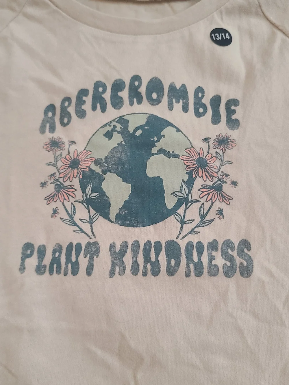 Abercrombie Kids Girls Lot Of 2 Tropical Tank Top Sz 11/12 & Graphic T Sz 13/14